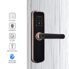 Elektronisches Passwort-intelligentes Fingerabdruck-Türschloss wifi bluetooth Netz