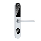 WIFI-Zugangs-Fingerabdruck-intelligentes Türschloss für Aluminiumtür