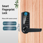 Alkalisches intelligentes Fingerabdruck-Türschloss-Handelsradioapparat des Passwort-180mm