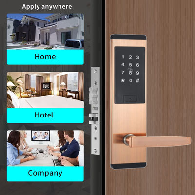 Schwarze Farbe Edelstahl Smart Keypad Türschloss mit TTlock Smart App