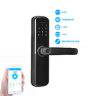 Biometrisches Keyless intelligentes Fingerabdruck-Türschloss Wifi BLE Digital für Haus