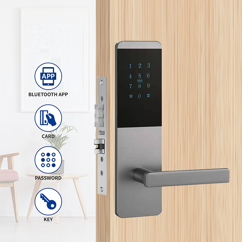 4 in 1 Aluminium-Legierung Wohnung Smart TTlock Türschloss mit Touch Keypad