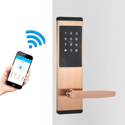 Schwarze Farbe Edelstahl Smart Keypad Türschloss mit TTlock Smart App